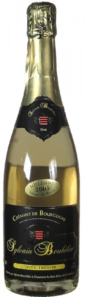Sylvain Bouhélier - Cuvée Trésor (blanc De Blanc)