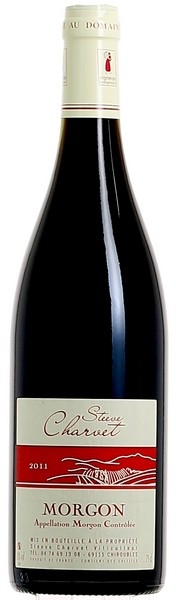 Charvet Steeve - Morgon