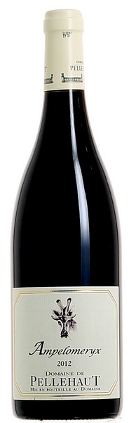 Scv Béraut - Ampéloméryx