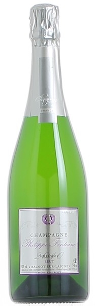 Champagne Philippe Fontaine - Brut Millésimé